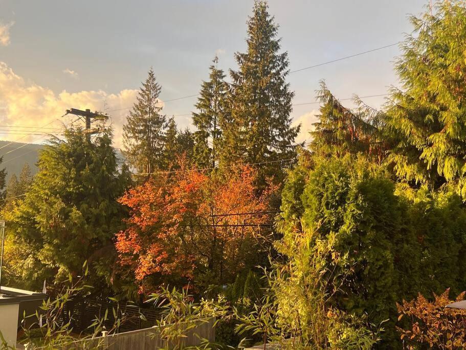 נורת וונקובר 'Canyon Heights' Retreat מראה חיצוני תמונה